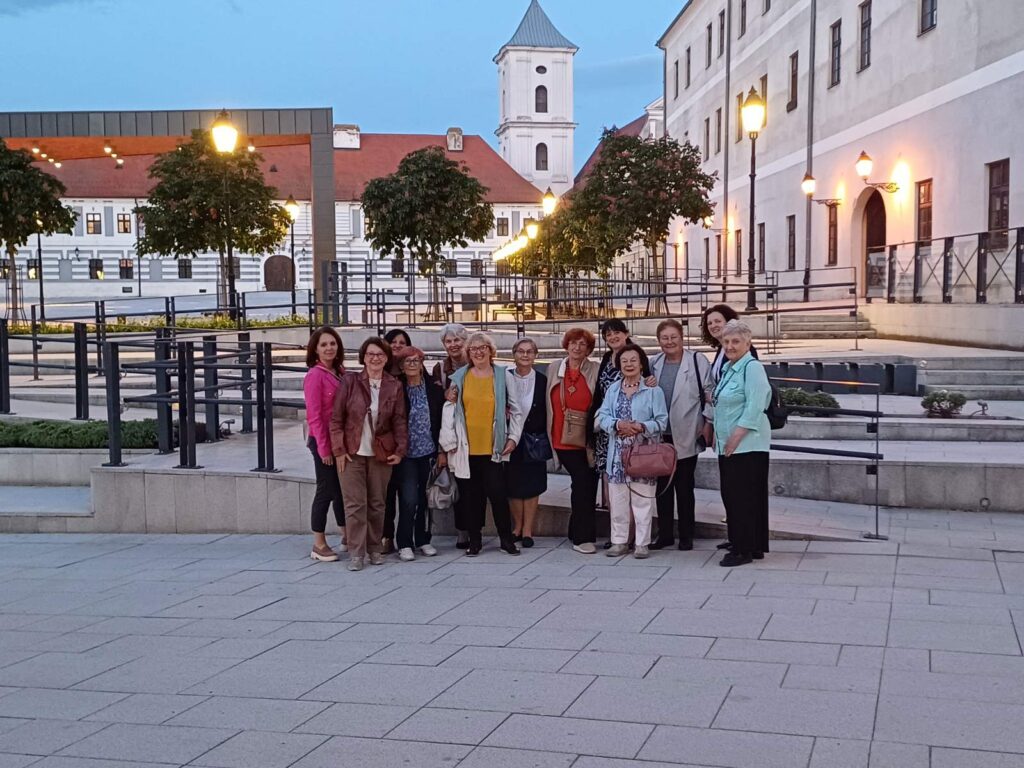 IMG-1ad8fc3c70d8aa8f86c83dd583b18819-V